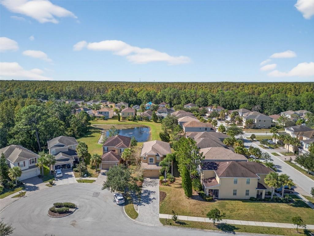 7710 Tuscany Woods Drive Tampa FL 33647 TB8441472 image70