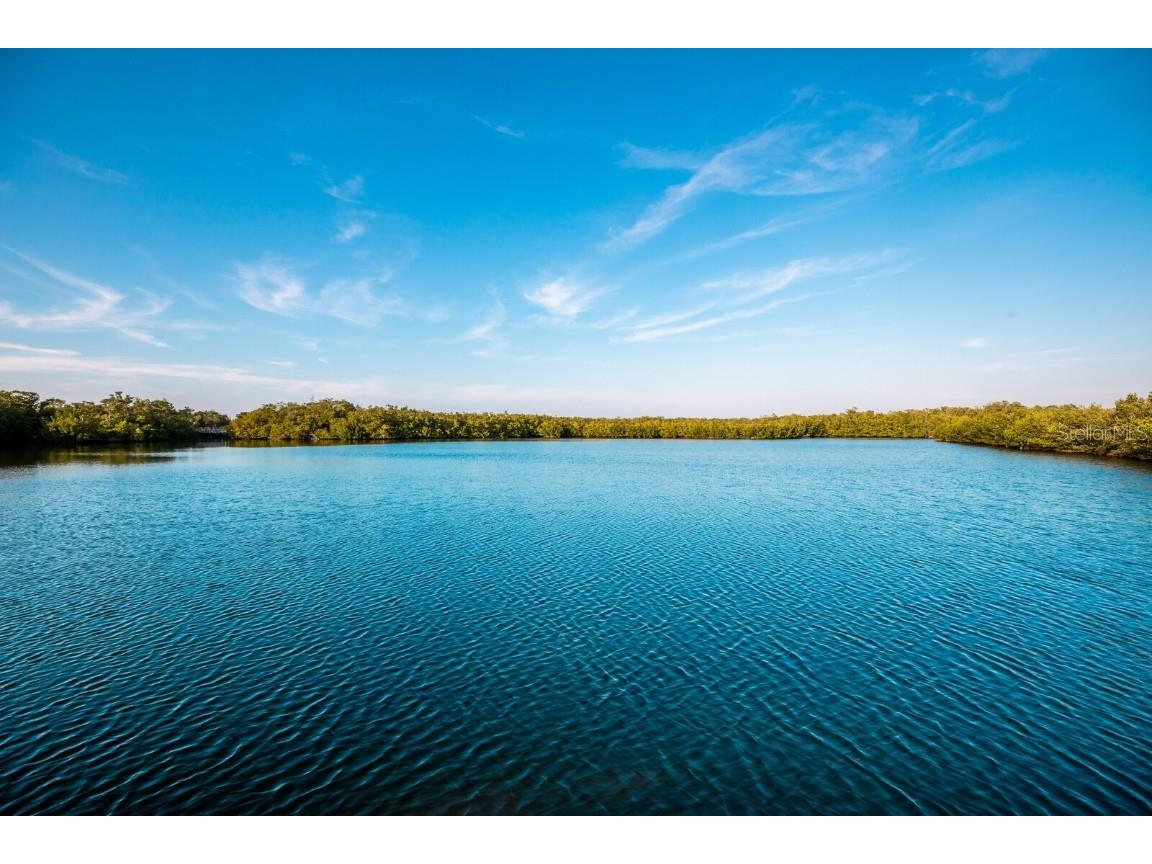 7711 25th Avenue W Bradenton FL 34209 A4664233 image59