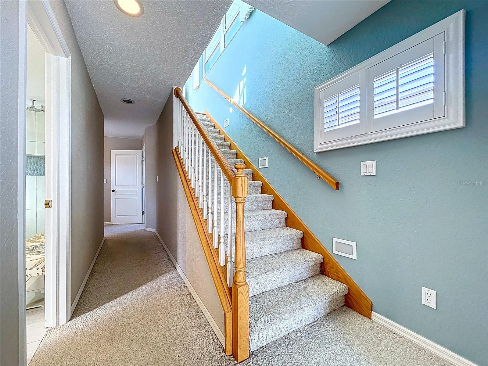 7711 Bayshore Drive Treasure Island FL 33706 - BLIND PASS TB8488047 image29