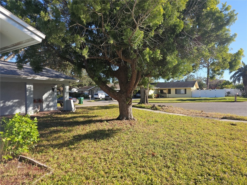 7711 Innis Court Saint Petersburg FL 33709 TB8343507 image6