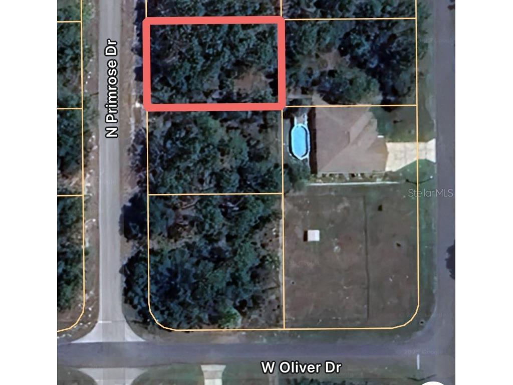 7711 N Primrose Drive Citrus Springs FL 34434 OM711649 image1