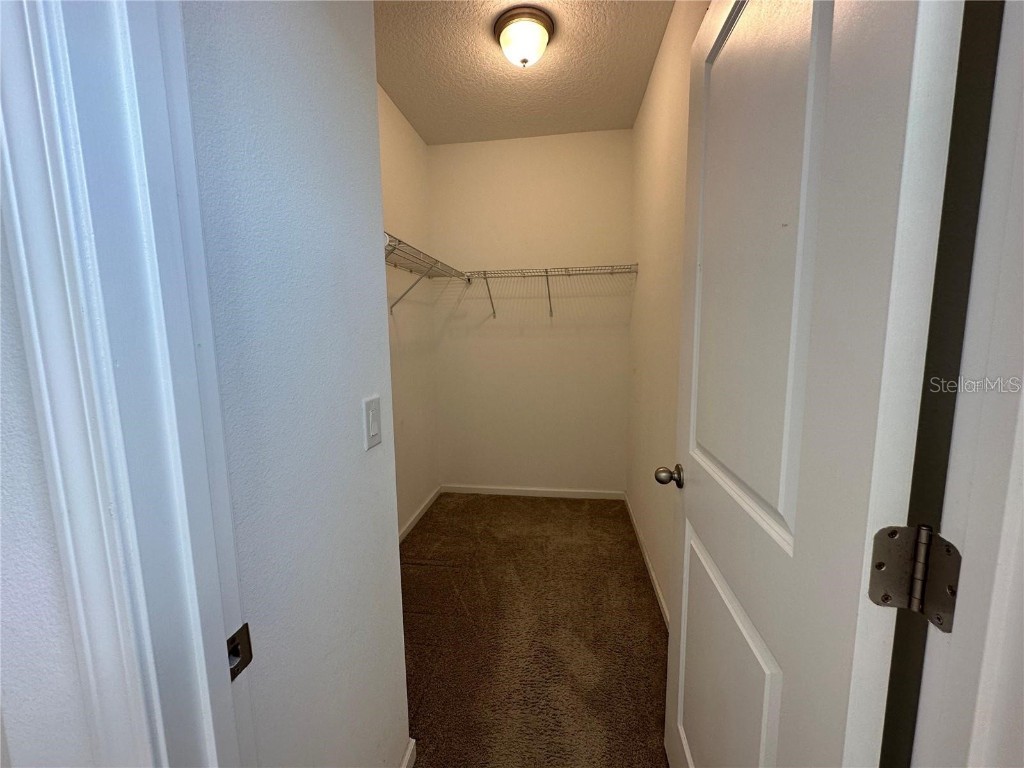 7711 Tangerine Knoll Loop Winter Garden FL 34787 O6363824 image24