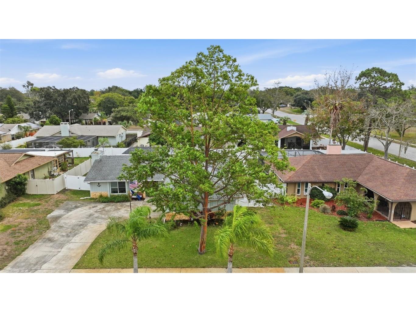 7712 Lakeside Woodlands Hudson FL 34667 W7880896 image3