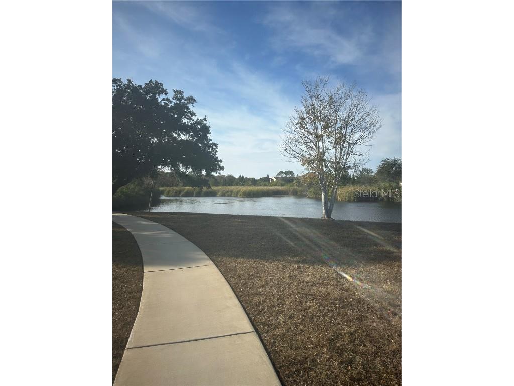 7712 Lakeside Woodlands Hudson FL 34667 W7880896 image79