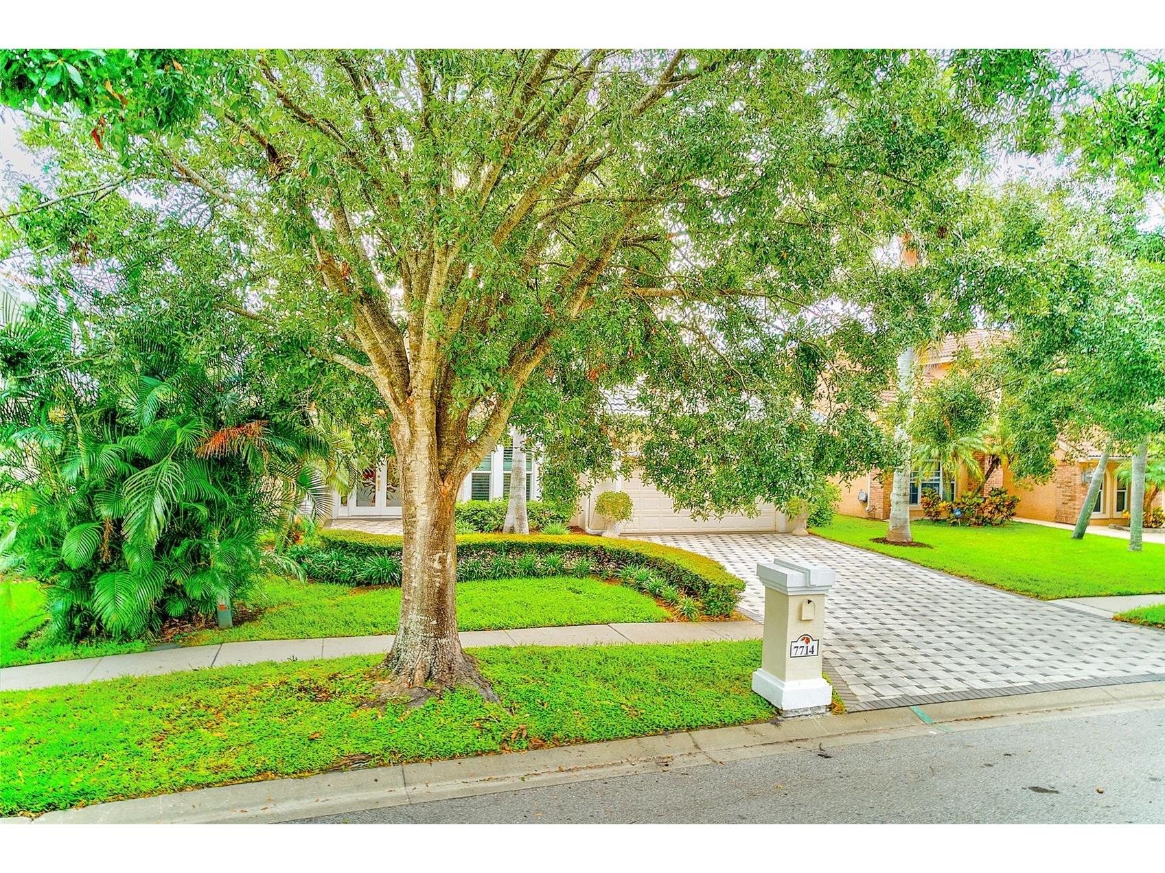 7714 Aralia Way Seminole FL 33777 W7878655 image61