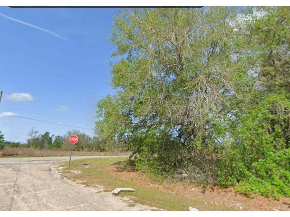 7714 N Walton Terrace Dunnellon FL 34434 S5153319 image2