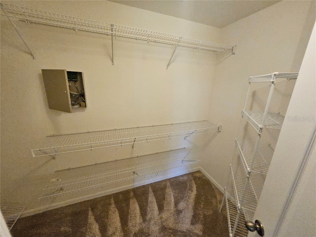 7715 Bristol Park Drive Apollo Beach FL 33572 TB8449449 image17