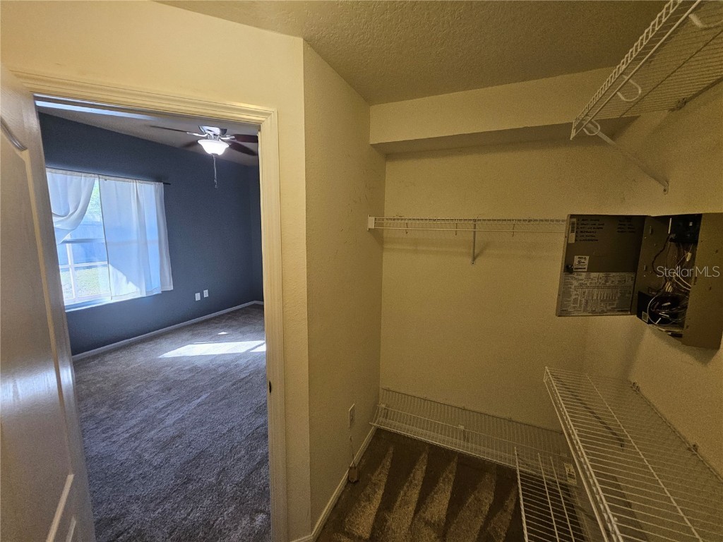 7715 Bristol Park Drive Apollo Beach FL 33572 TB8449449 image18