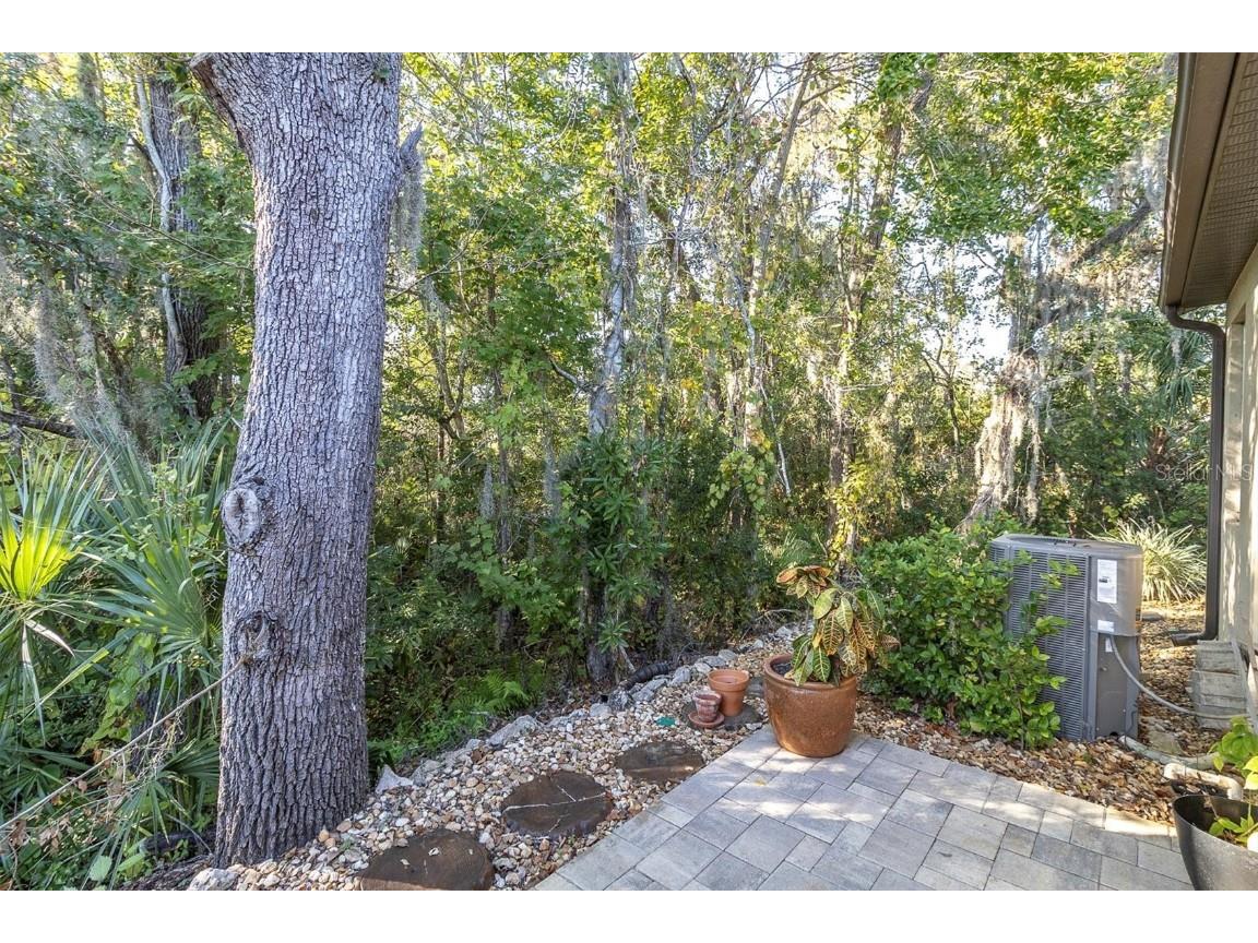 7715 Dawson Creek Lane New Port Richey FL 34654 W7880428 image20