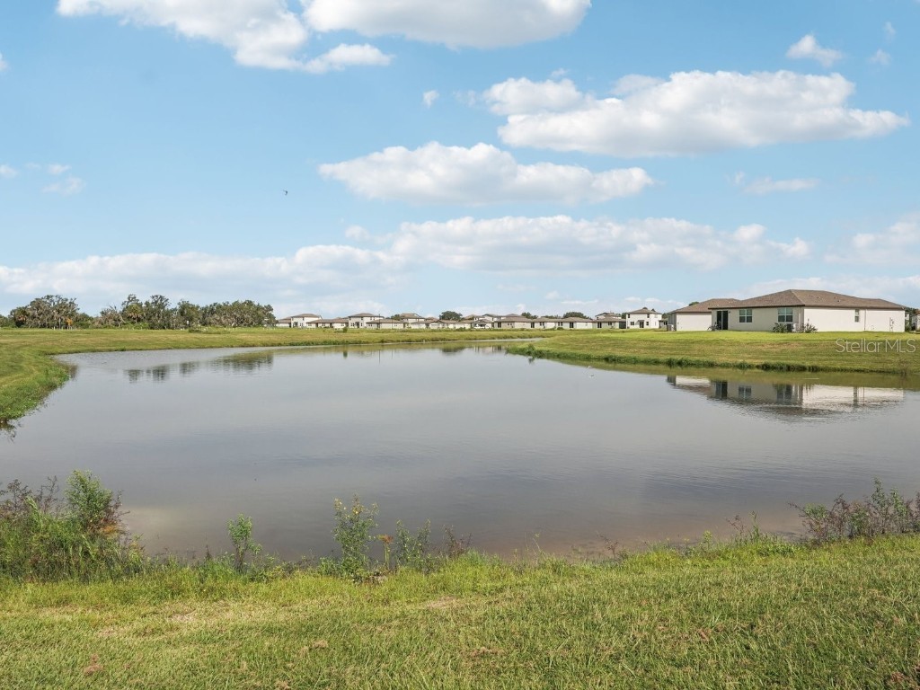 7715 Gilchrist Springs Drive Parrish FL 34219 O6323681 image33