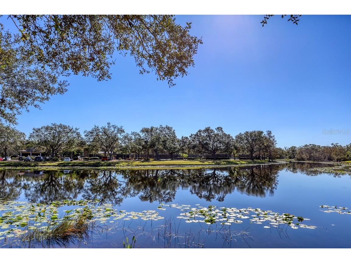 7717 Us Open Loop Lakewood Ranch FL 34202 A4655813 image54