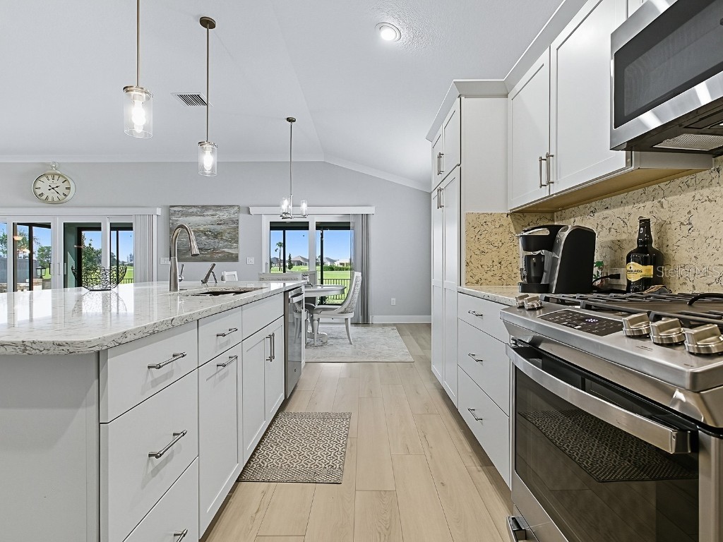 7718 Brian Etheredge Way The Villages FL 34762 G5102952 image17