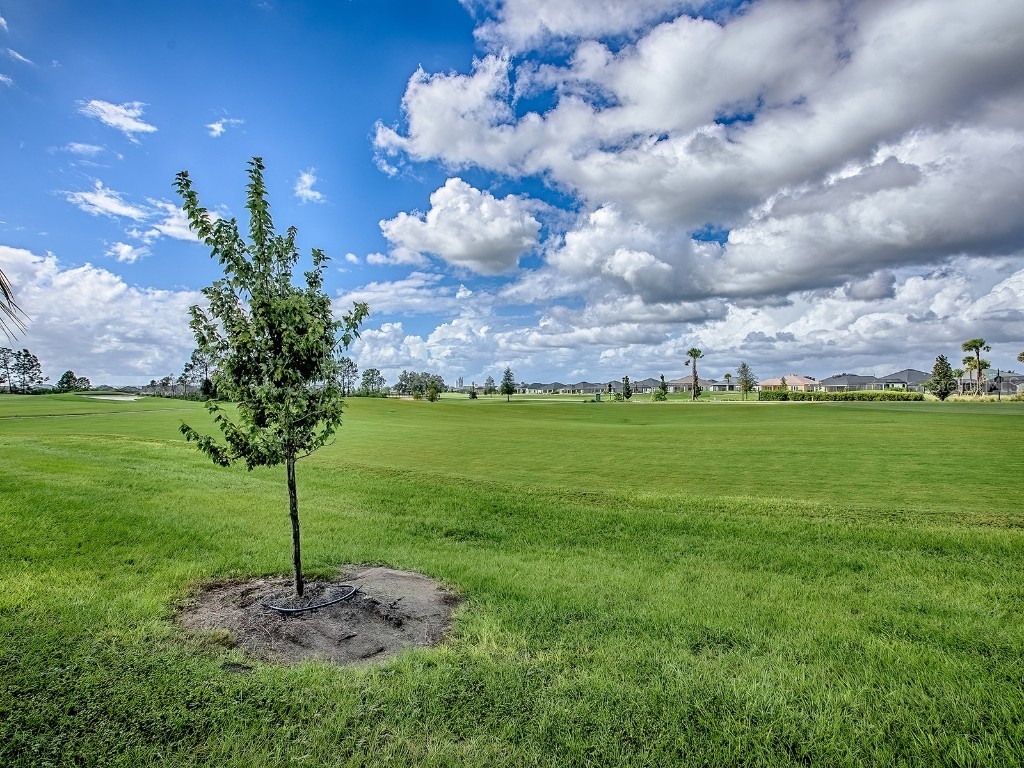 7718 Brian Etheredge Way The Villages FL 34762 G5102952 image58