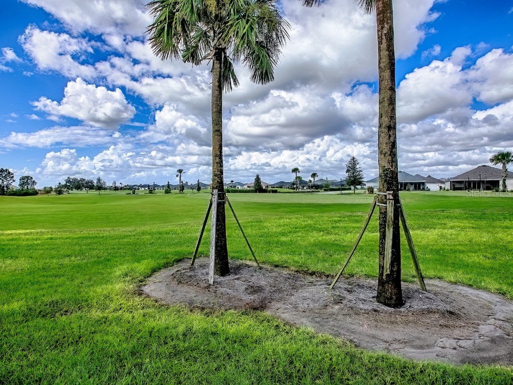 7718 Brian Etheredge Way The Villages FL 34762 G5102952 image59