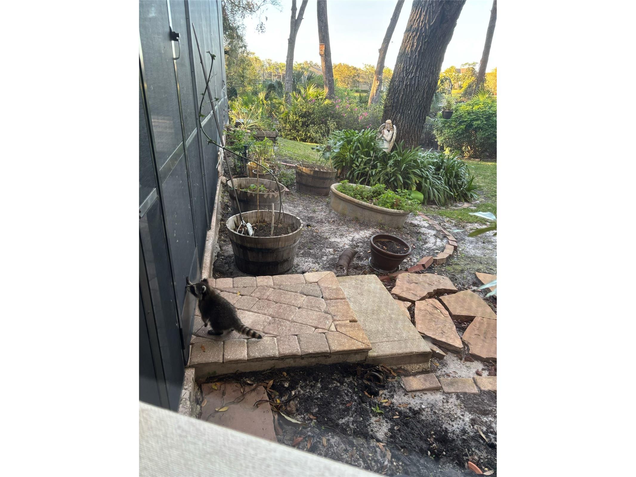 7718 Flemingwood Court Sanford FL 32771 O6382114 image75