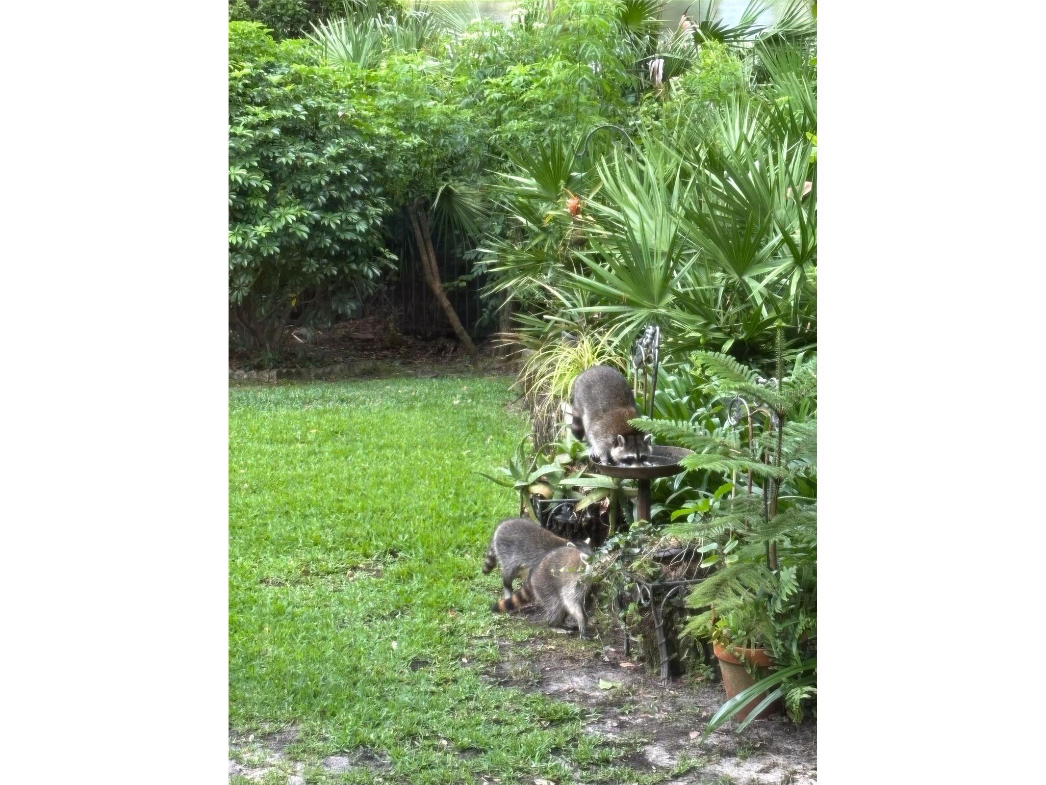 7718 Flemingwood Court Sanford FL 32771 O6382114 image77