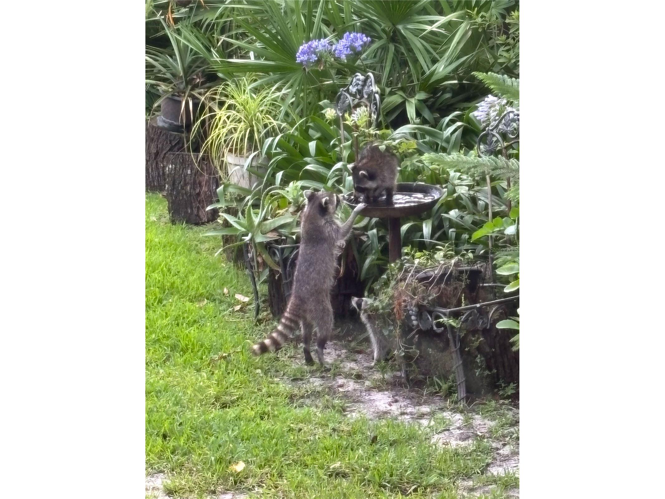 7718 Flemingwood Court Sanford FL 32771 O6382114 image79