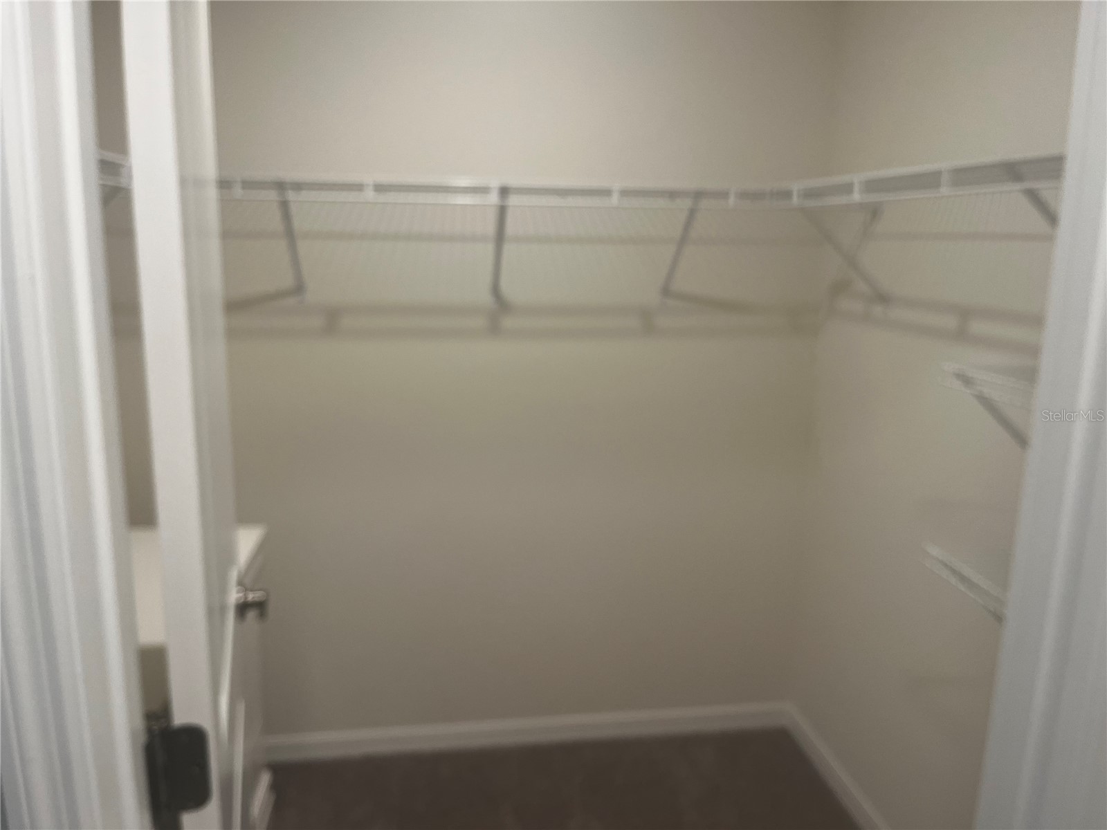 7718 Rome Lane Brooksville FL 34613 W7885385 image9