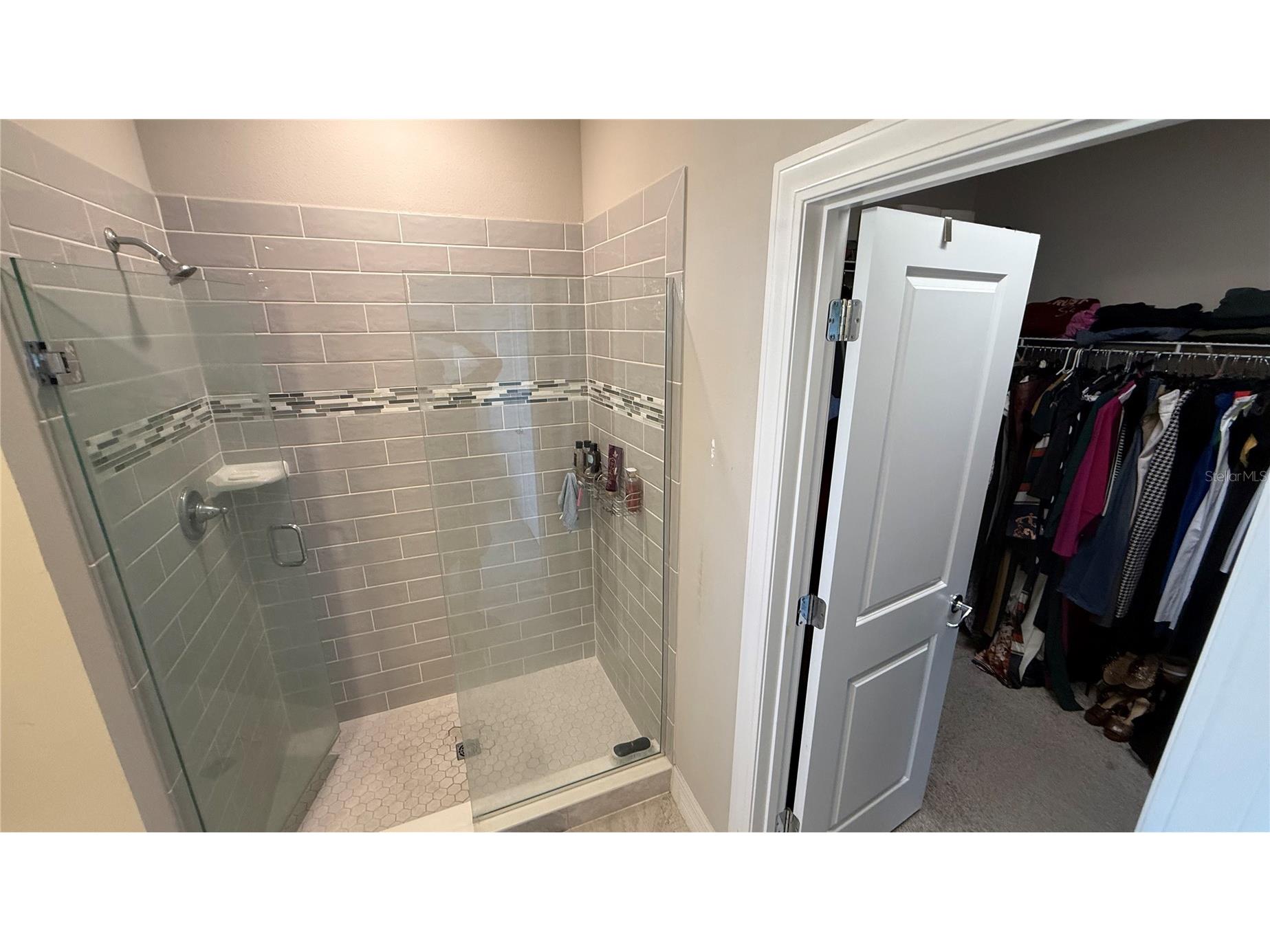 7718 Sweet Star Avenue Orlando FL 32836 O6373281 image46