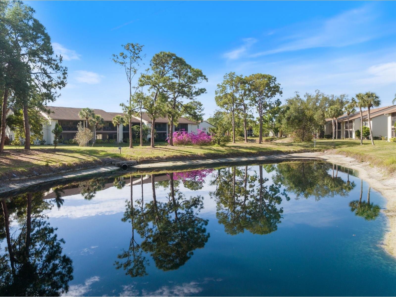 772 Bird Bay Drive N #104 Venice FL 34285 N6143265 image34