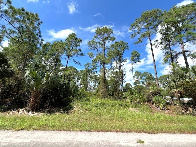 772 Langford Street Lehigh Acres FL 33974 O6240217 image1