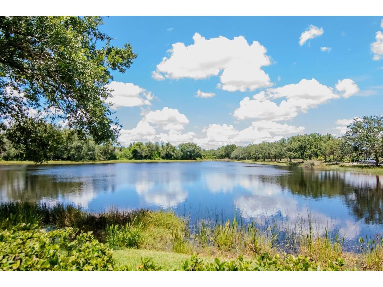 772 Rosemary Circle Bradenton FL 34212 A4660579 image85