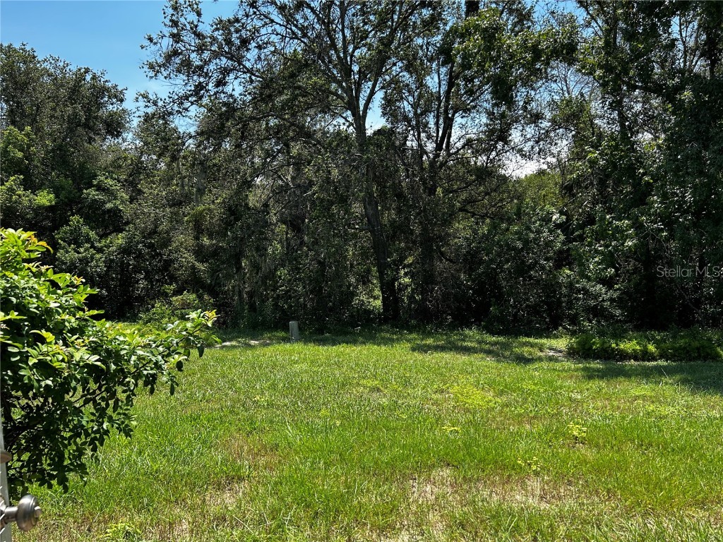 7720 Danube Drive #C Hudson FL 34667 W7878472 image24