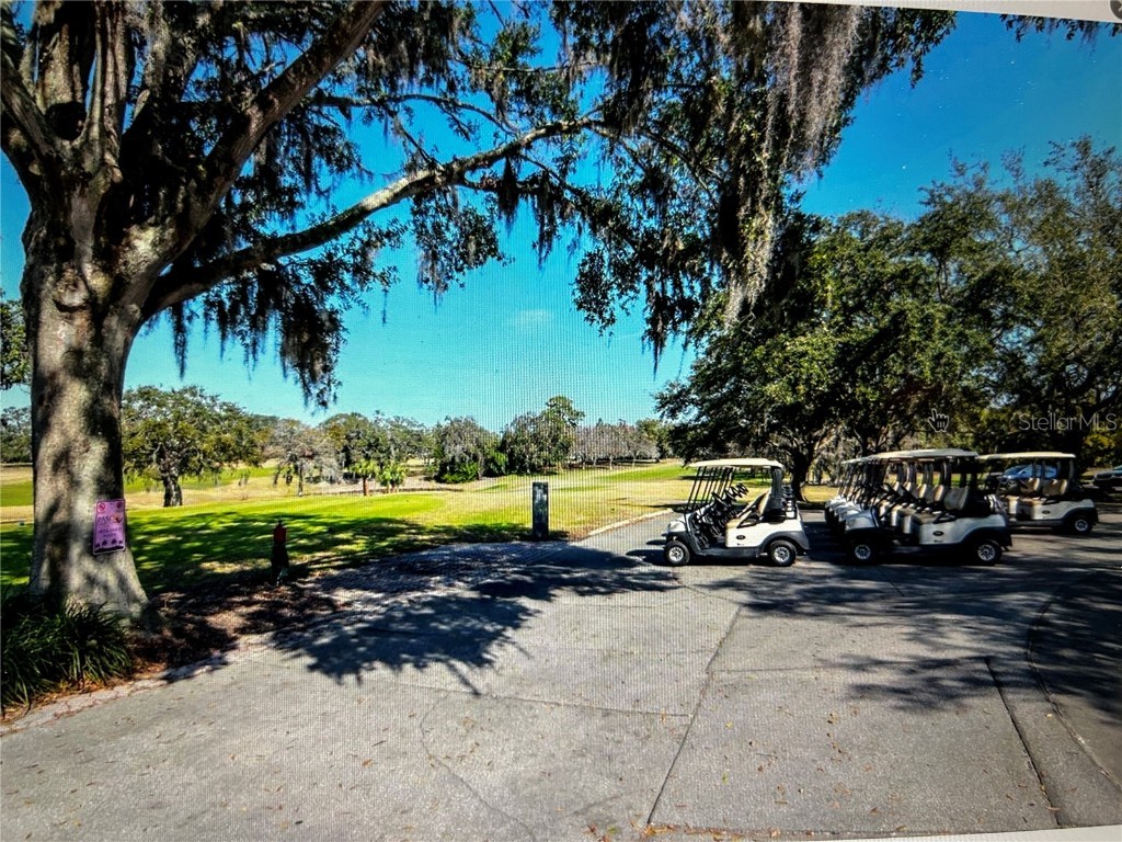 7720 Danube Drive #C Hudson FL 34667 W7878472 image32