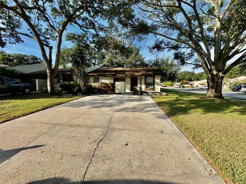 7720 Gulf Court Temple Terrace FL 33637 T3480422 image1