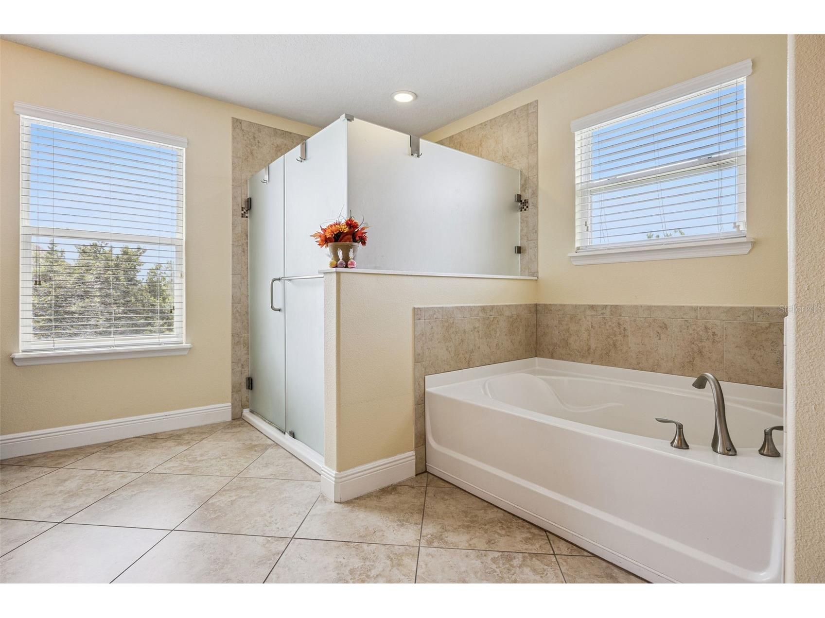 7720 Summerlake Pointe Boulevard Winter Garden FL 34787 O6399030 image23
