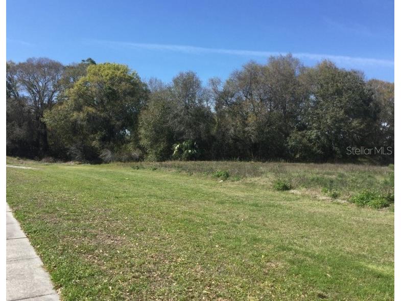 7721 Gunn Highway Tampa FL 33625 T3324003 image1