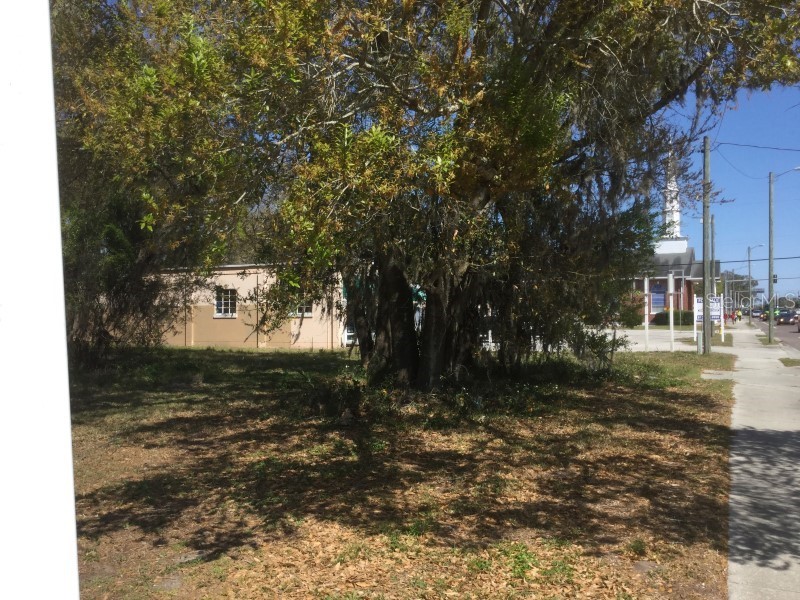 7721 Gunn Highway Tampa FL 33625 T3324003 image4