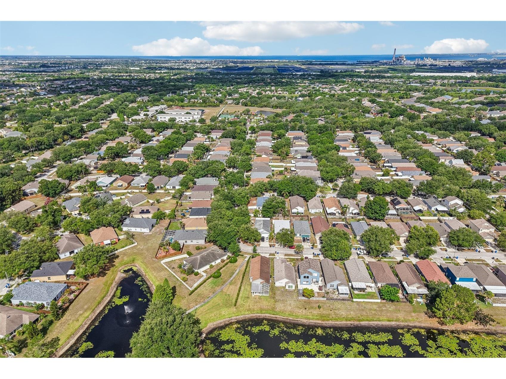 7723 Bristol Park Drive Apollo Beach FL 33572 TB8510366 image49