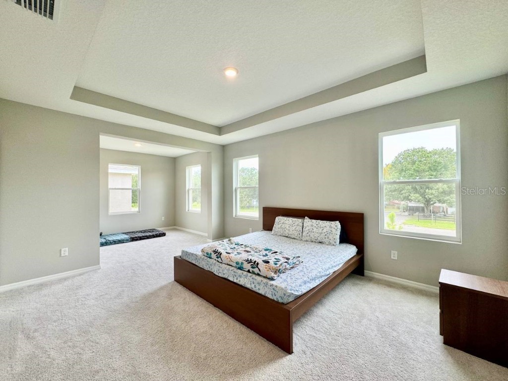 7724 Broad River Avenue Land O Lakes FL 34638 TB8427665 image28