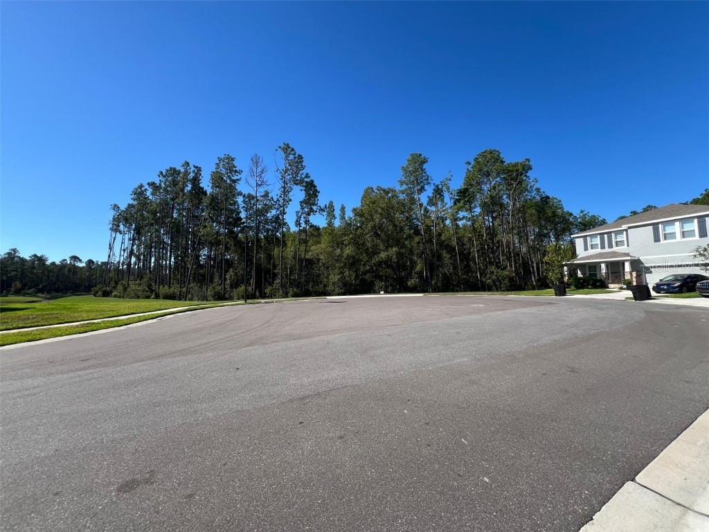 7724 Broad River Avenue Land O Lakes FL 34638 TB8427665 image38