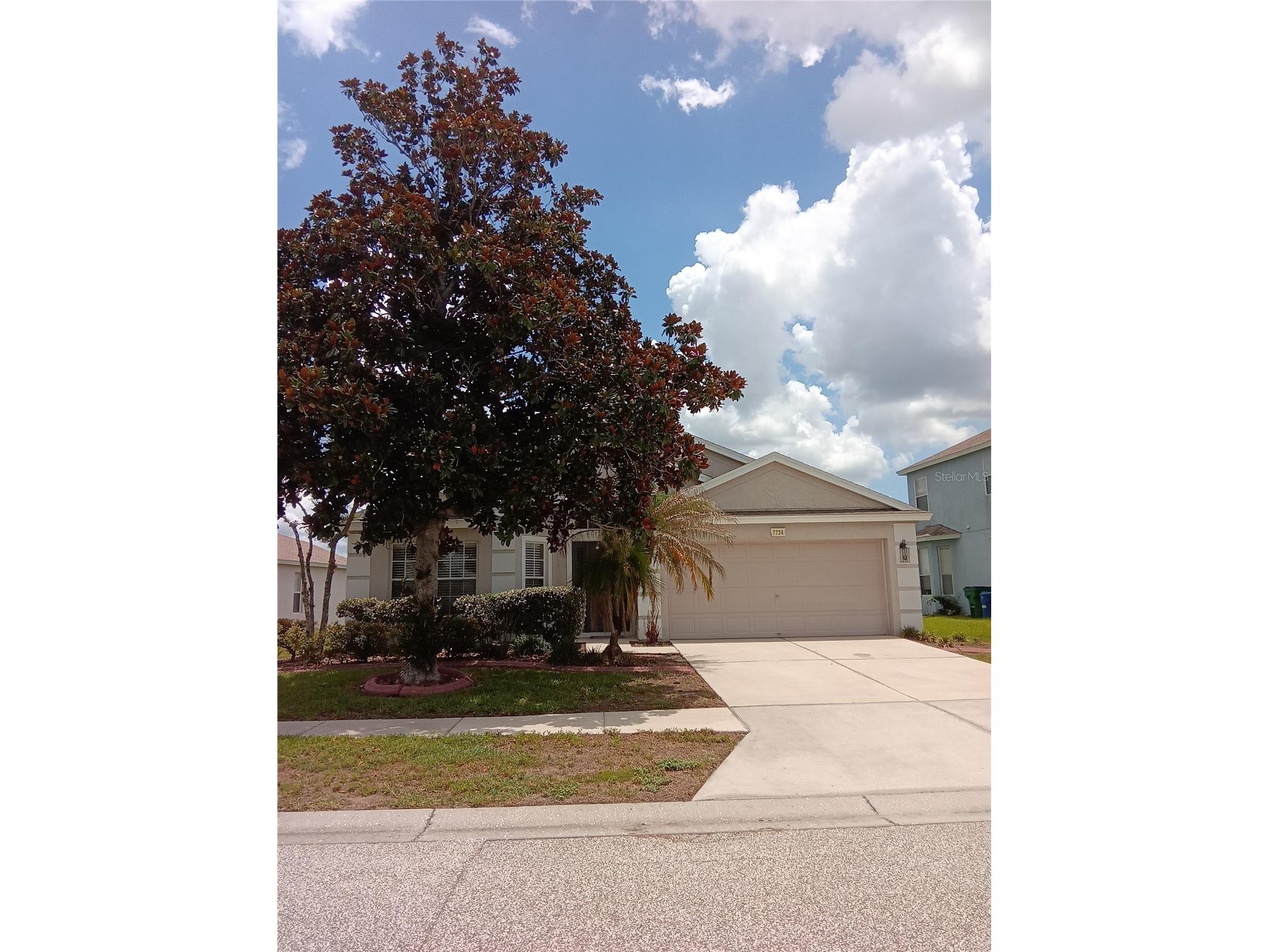 7724 Outerbridge Street Wesley Chapel FL 33545 TB8519409 image1