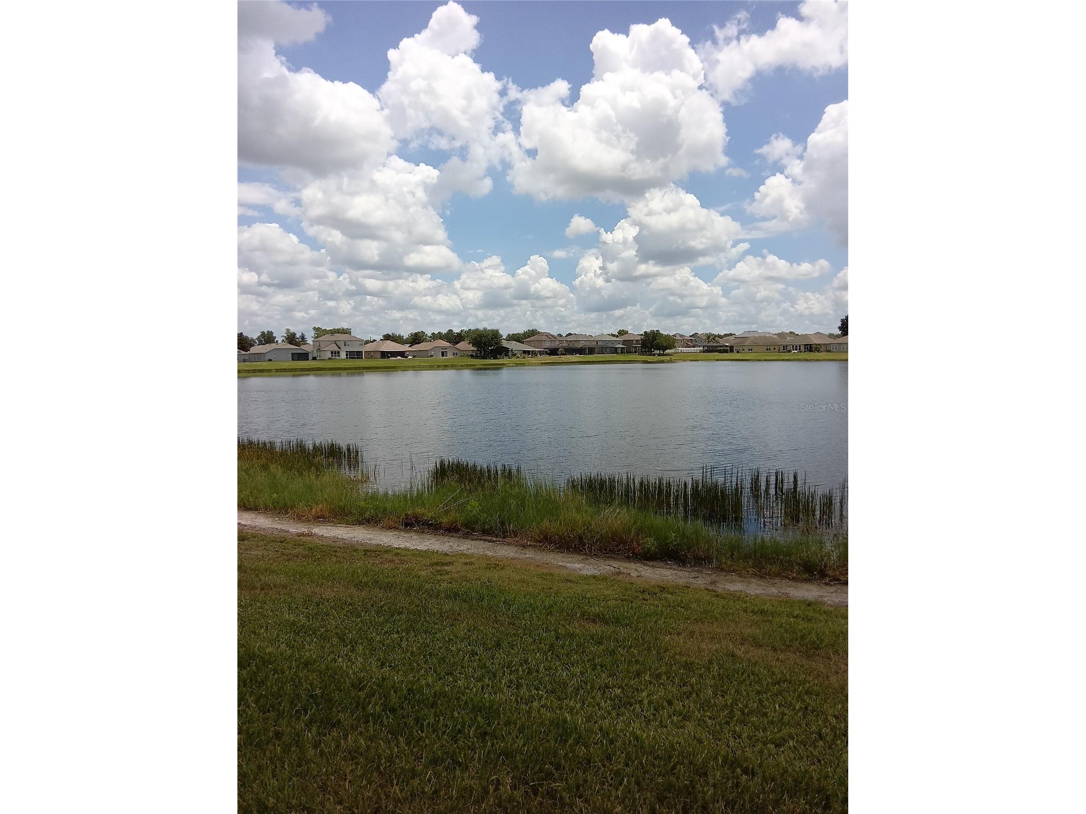 7724 Outerbridge Street Wesley Chapel FL 33545 TB8519409 image17