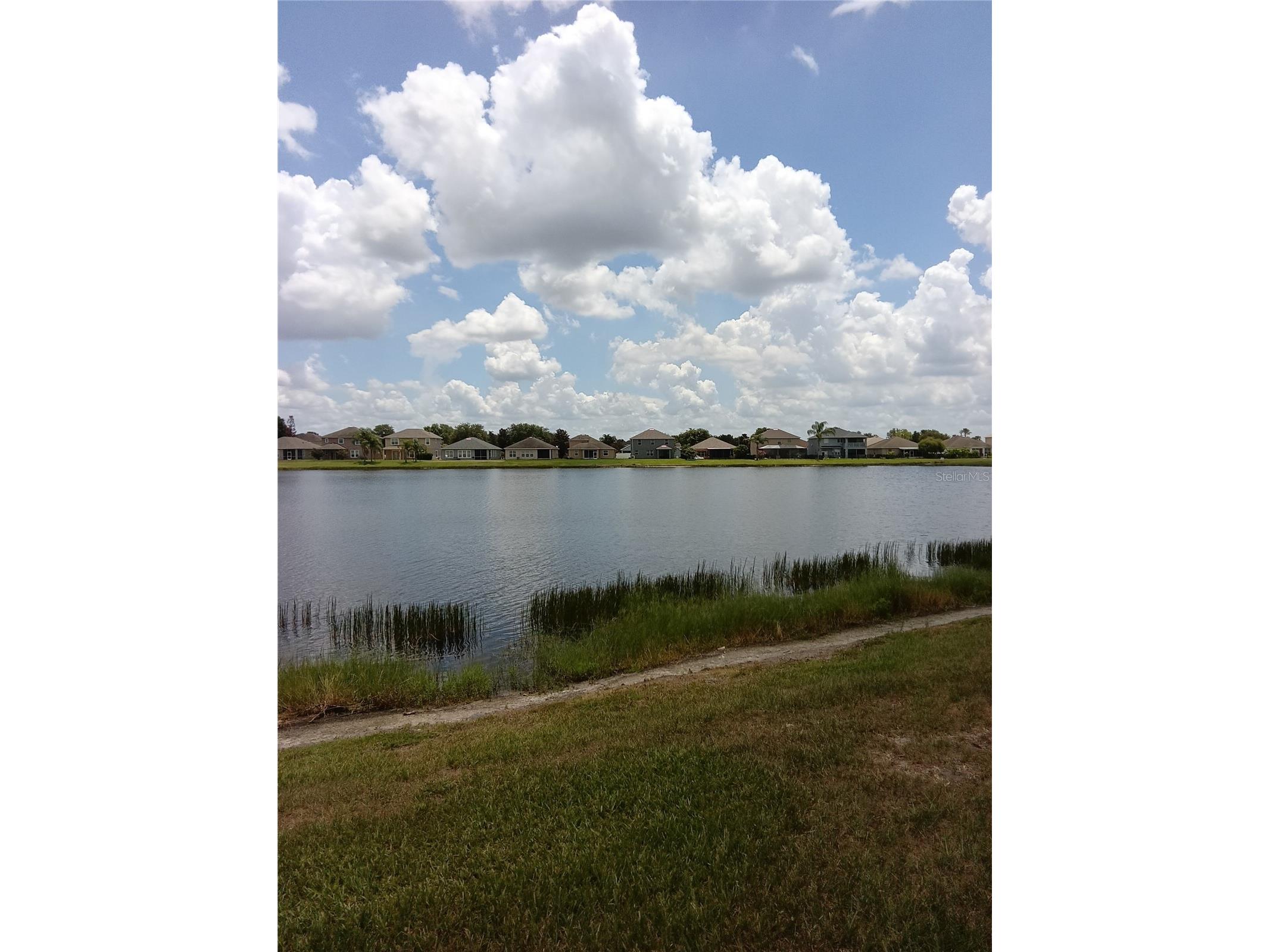7724 Outerbridge Street Wesley Chapel FL 33545 TB8519409 image18