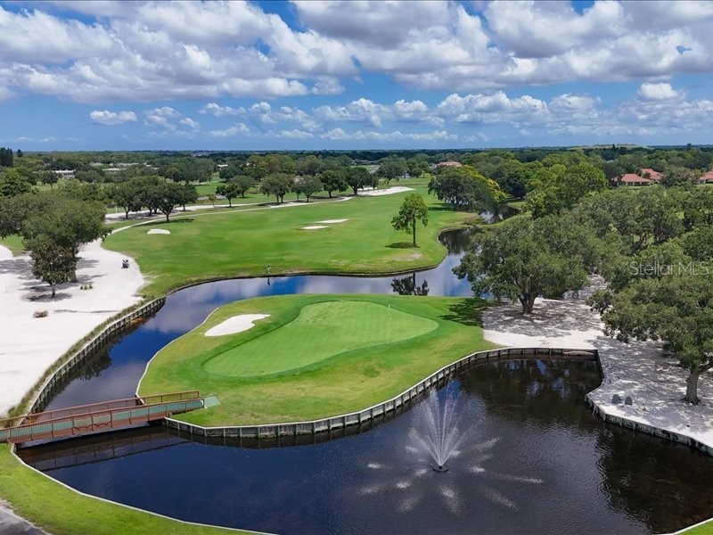 7724 Palm Aire Lane Sarasota FL 34243 A4649627 image49