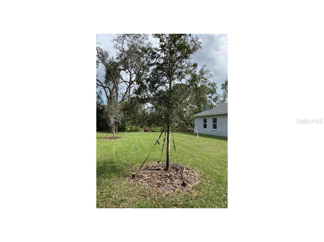 7724 Swiss Avenue North Port FL 34291 OM721072 image14