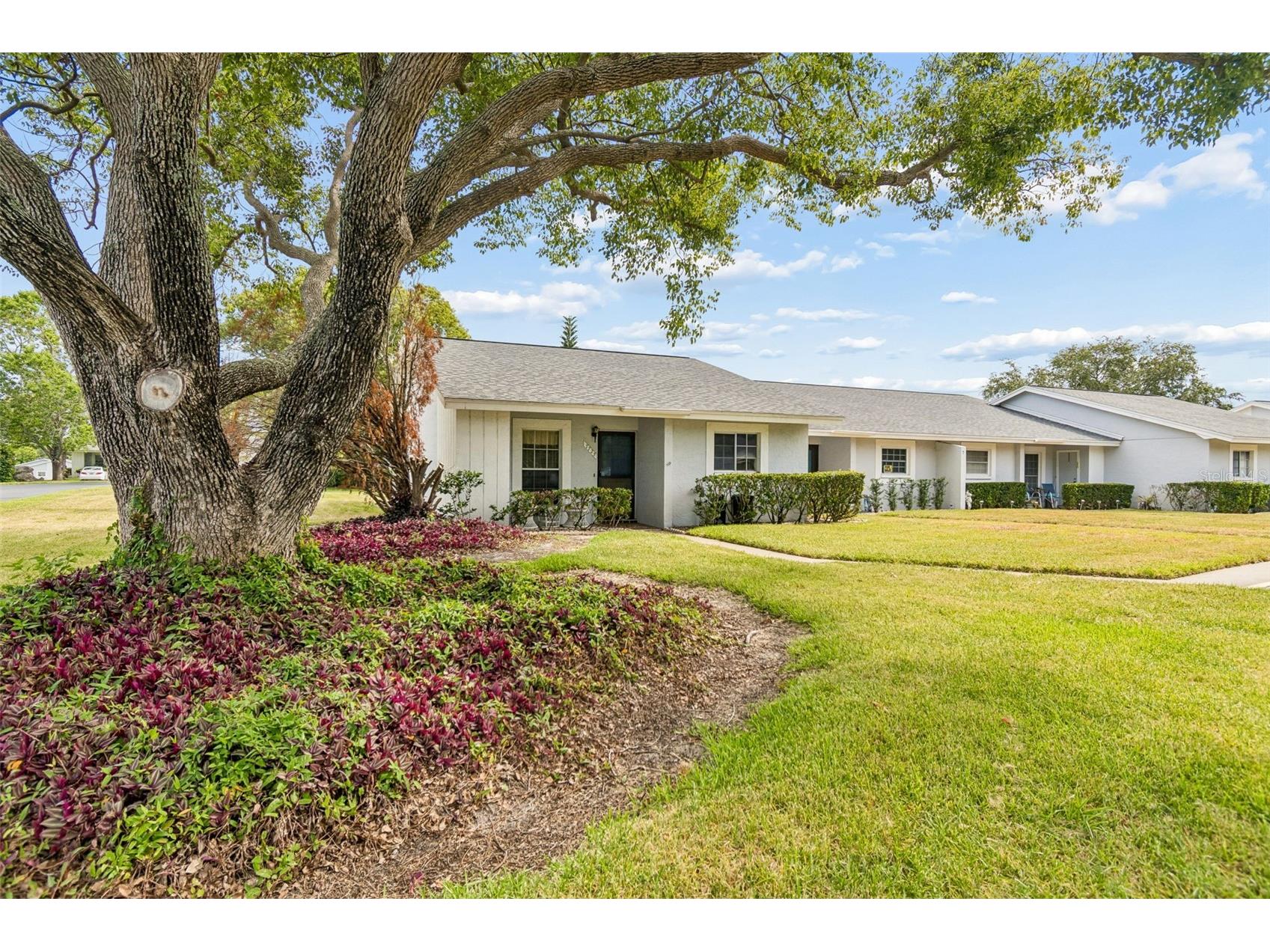 7725 Danube Drive Hudson FL 34667 W7886508 image5