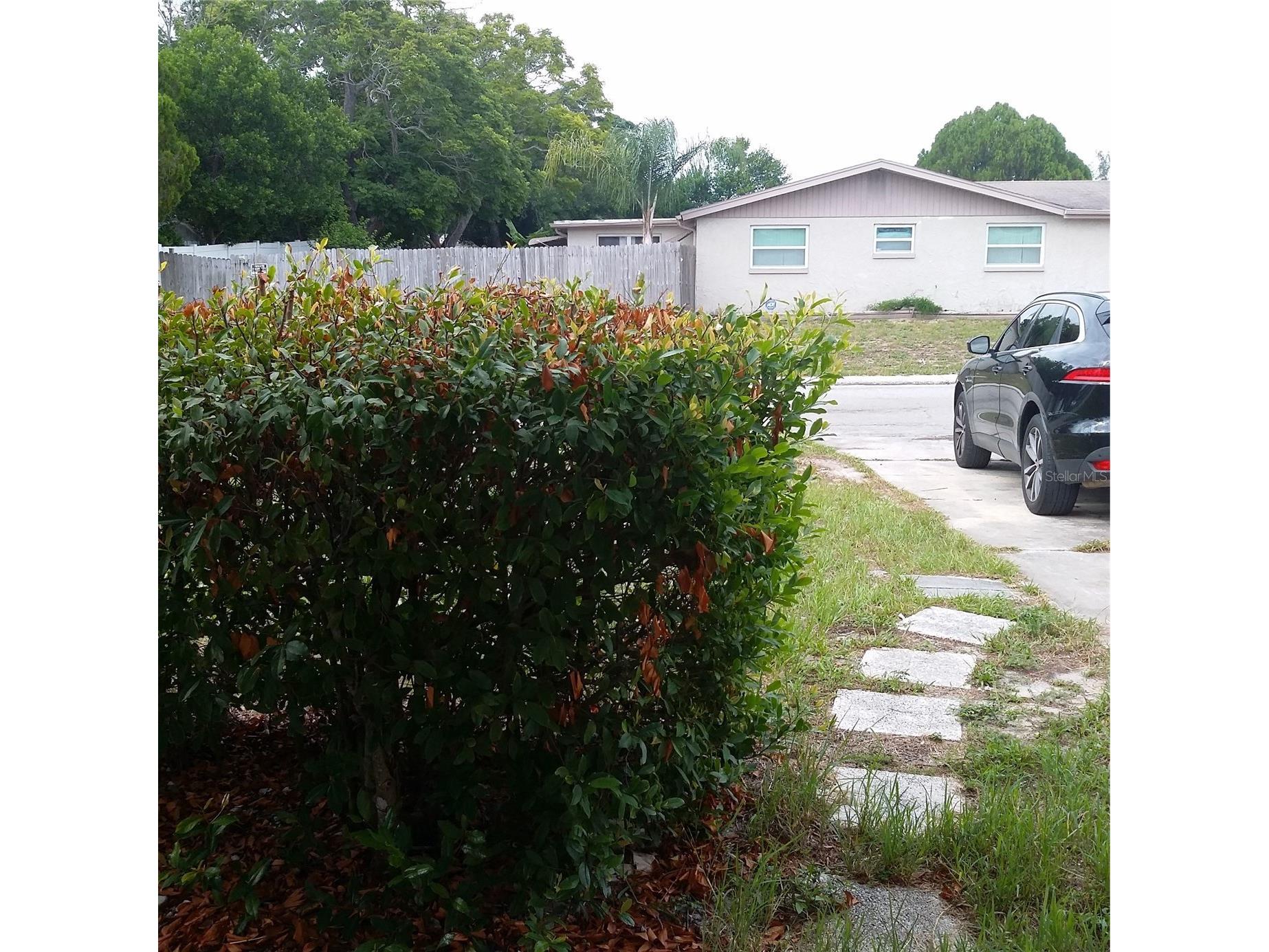 7725 Rottingham Road Port Richey FL 34668 TB8524888 image1