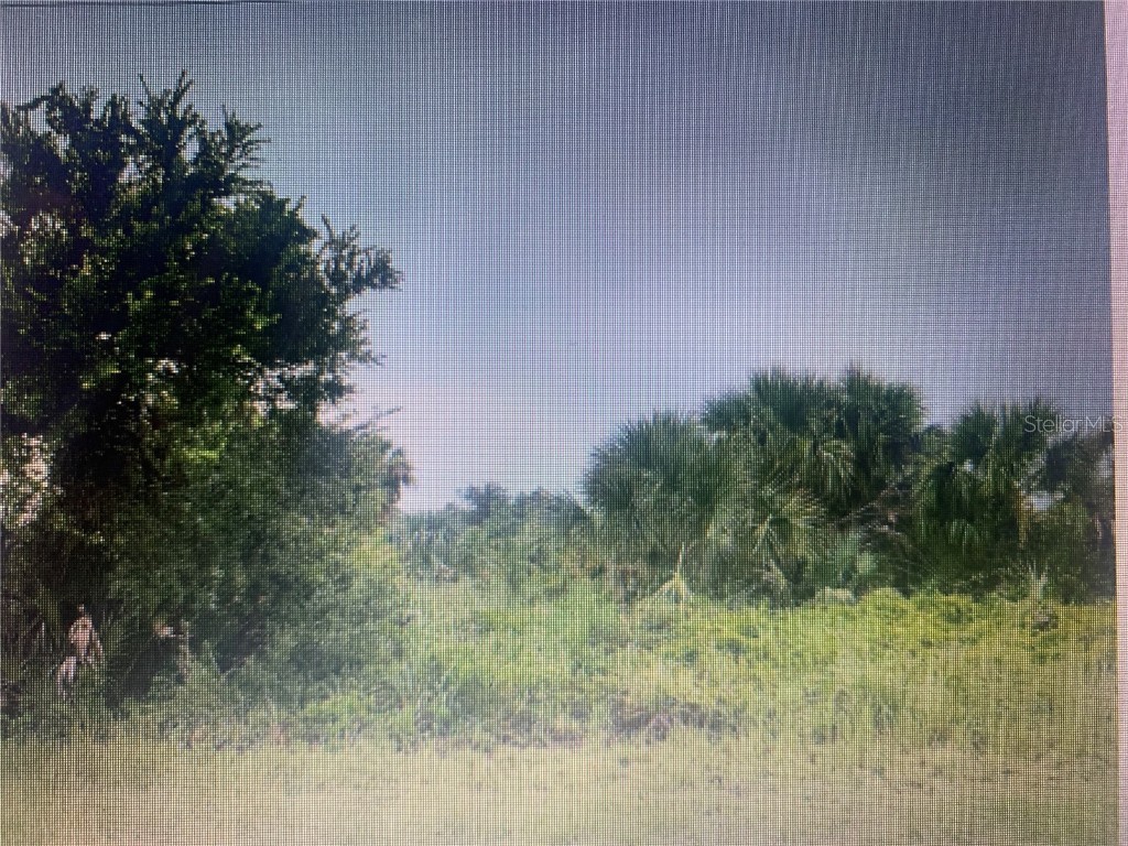 7726 18th Place Labelle FL 33935 A4555604 image1