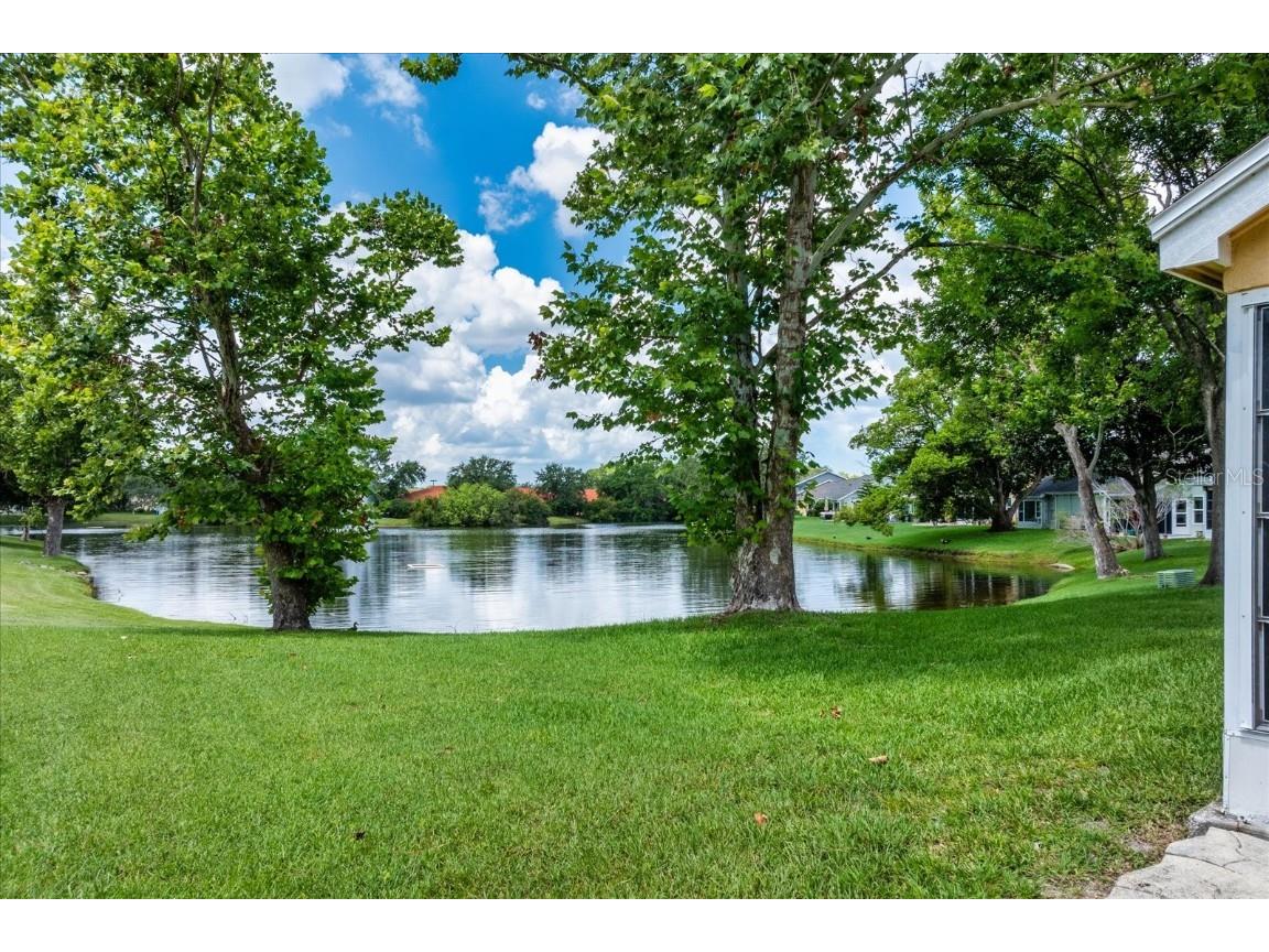 7728 Balharbour Drive New Port Richey FL 34653 O6322456 image23