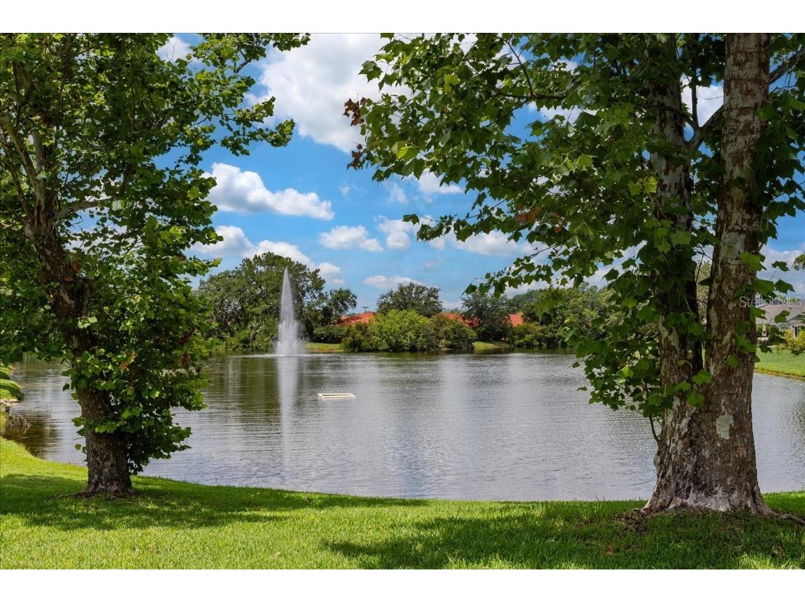 7728 Balharbour Drive New Port Richey FL 34653 O6322456 image24