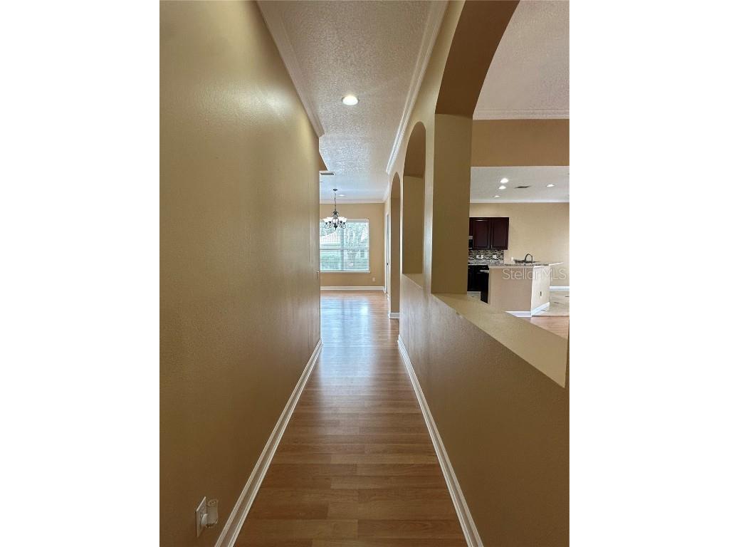 7729 Aralia Way Seminole FL 33777 TB8456947 image16