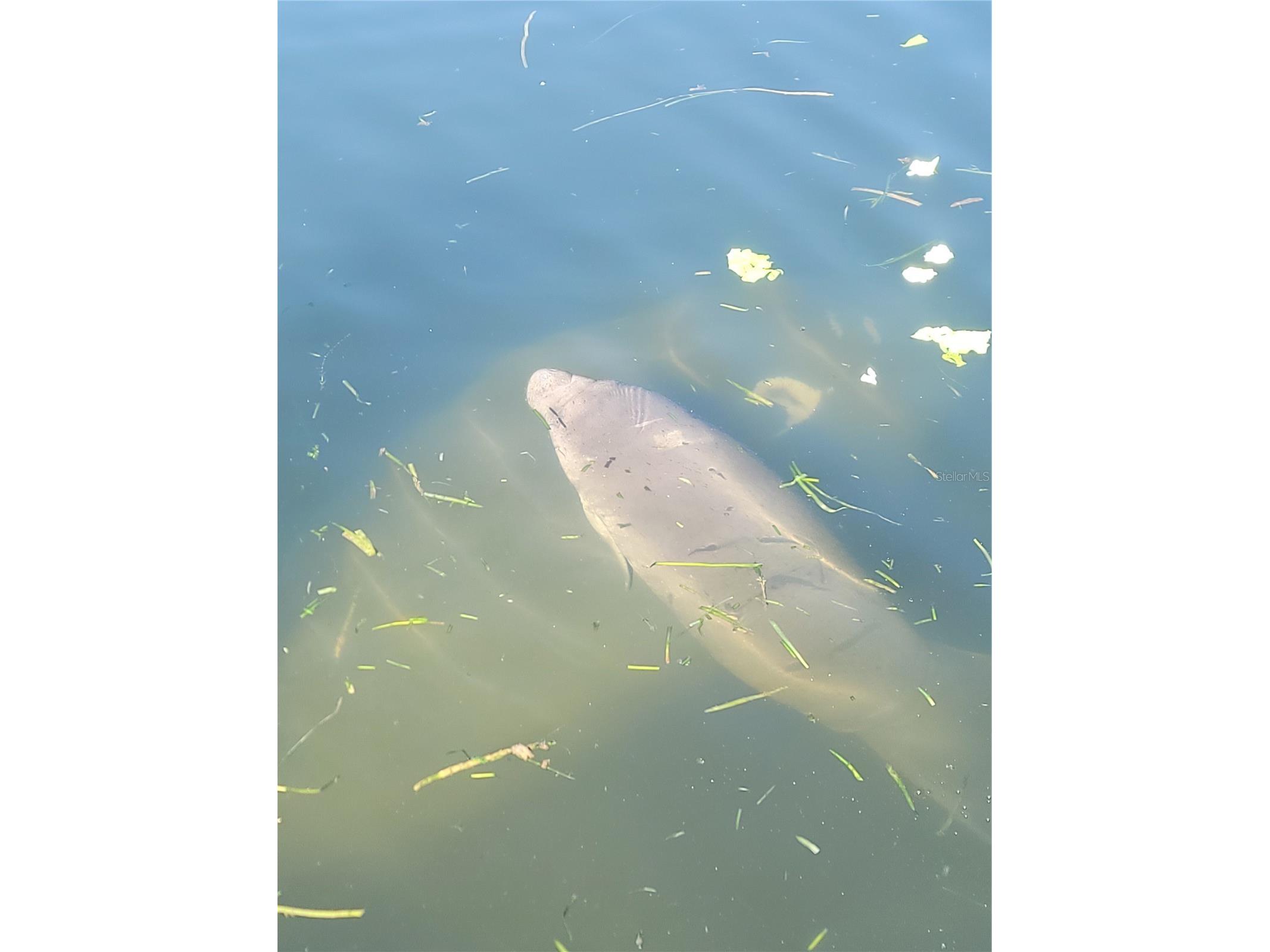 773 NE 9th Street #B Crystal River FL 34428 TB8498933 image14