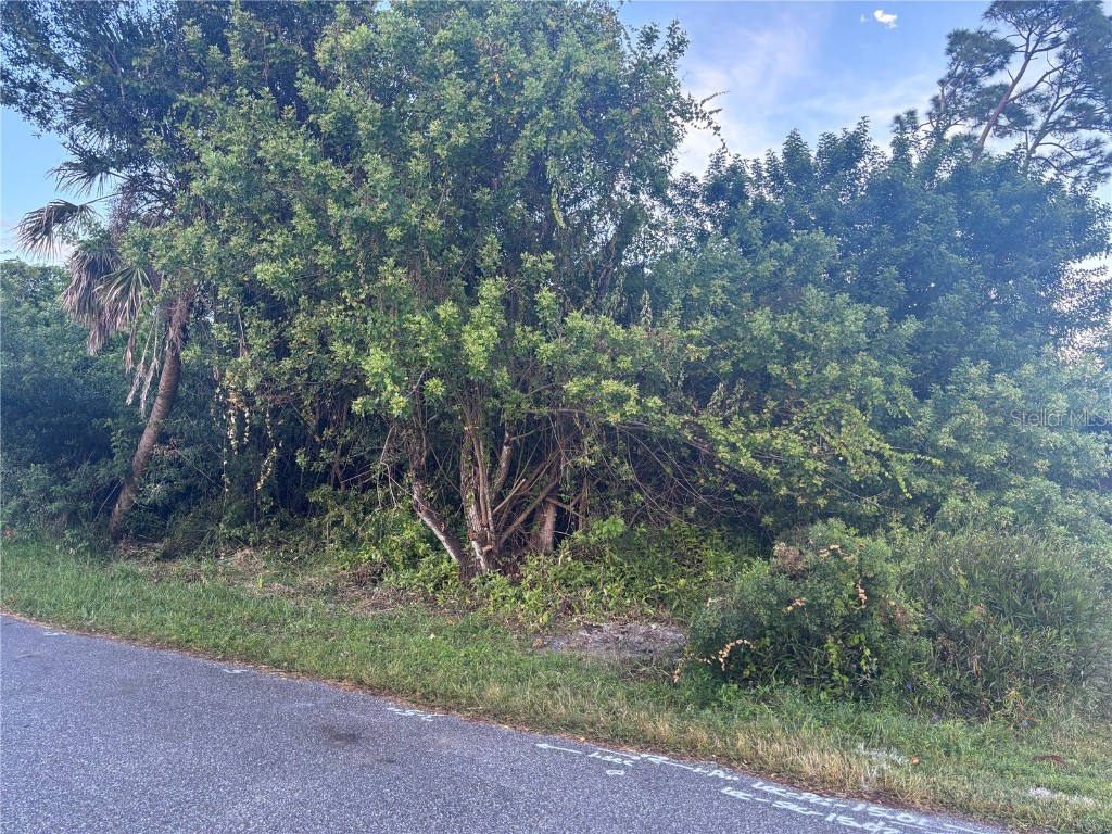 773 Red Bay Street Port Charlotte FL 33948 C7515937 image2