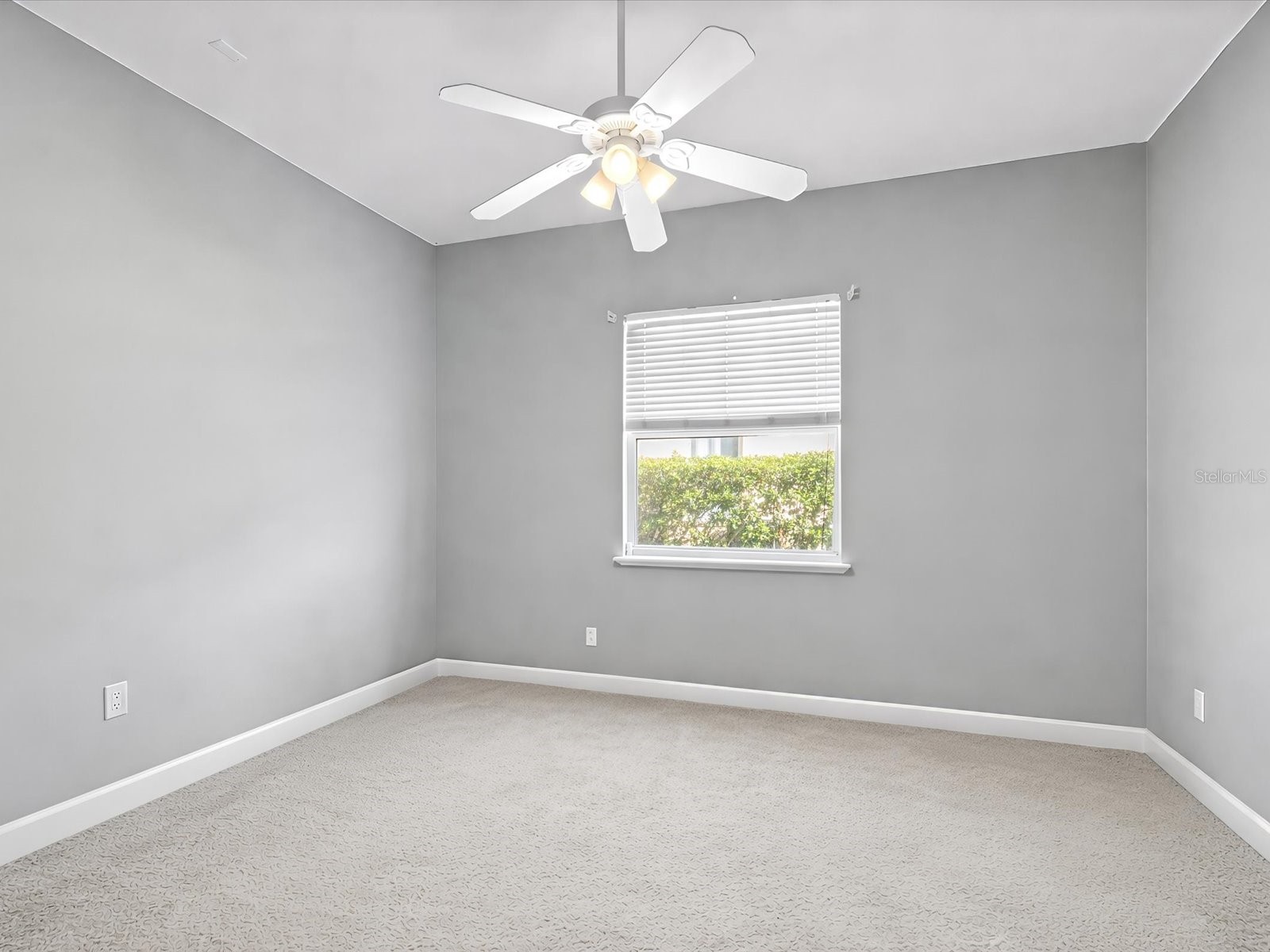 7730 Aralia Way Seminole FL 33777 TB8488515 image32