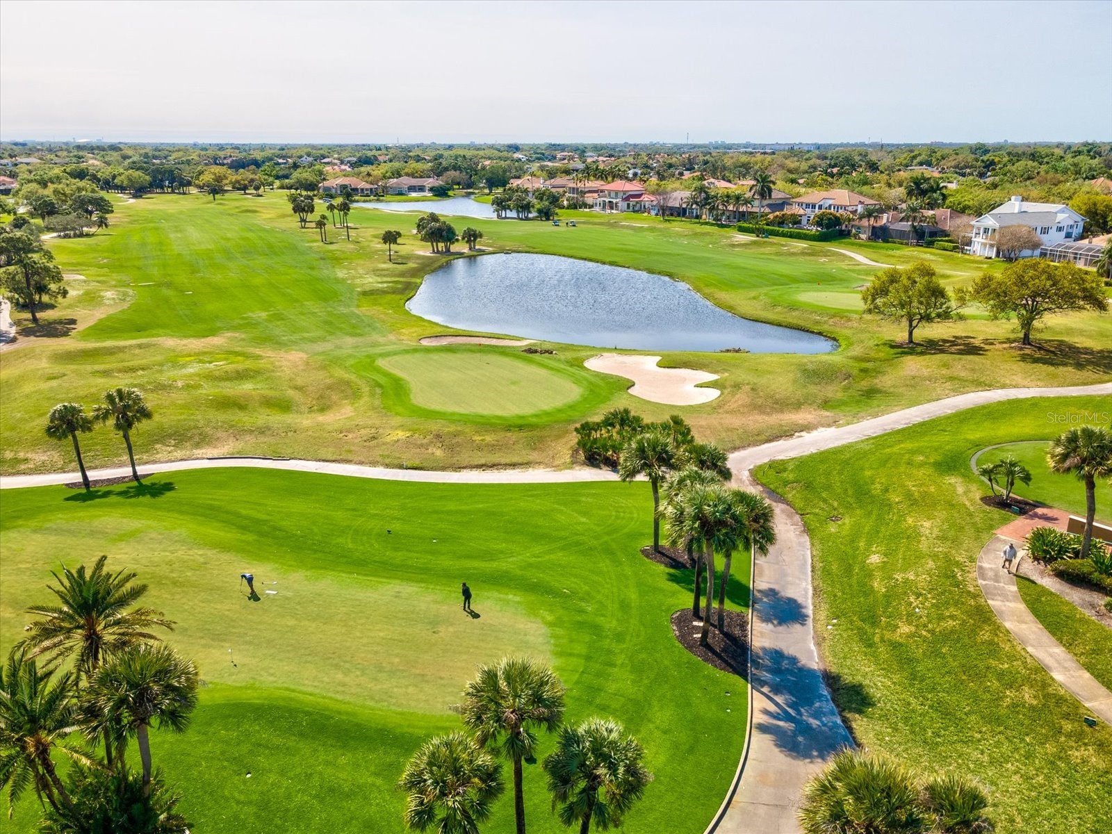 7730 Aralia Way Seminole FL 33777 TB8488515 image46